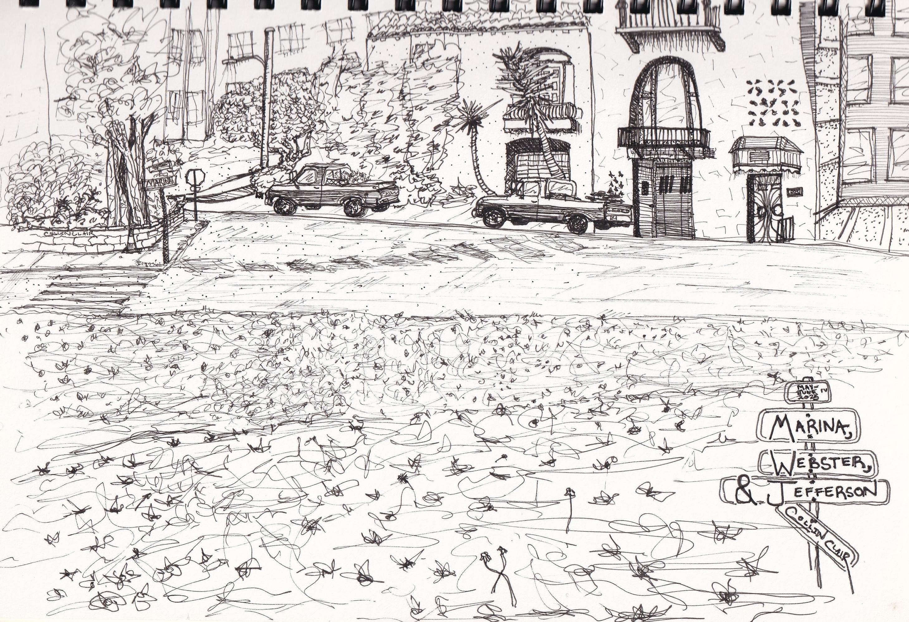 marina webster & jefferson